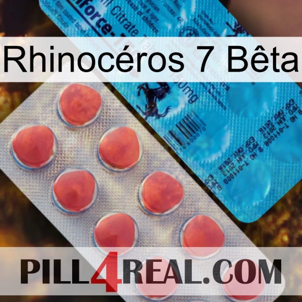 Rhinocéros 7 Bêta new14